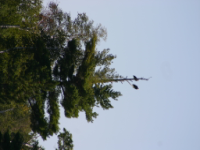 img_5085.jpg